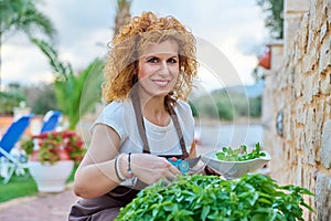 Beautiful woman in the garden cuts spicy basil herbs