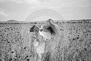 beautiful woman gather red poppy flower bouquet in field. summer or spring nature. seasonal beauty landscape. young girl