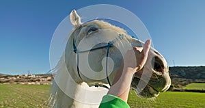 Beautiful woman gently petting and bonding with a majestic horse at the ranch