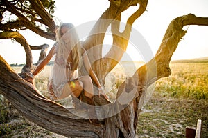 A beautiful woman in golden hay field 6