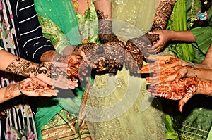 Beautiful Woman Hand in the Heena