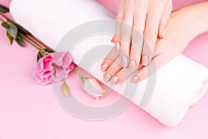 Beautiful Woman Hands with fresh eustoma. Spa and Manicure concept. Female hands with pink manicure. Soft skin skincare