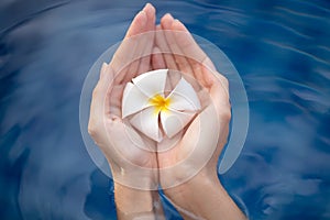 Beautiful woman hands holding flower.