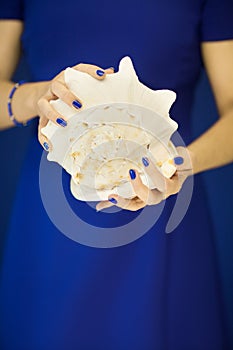 Beautiful woman hands with perfect nail polish holding big sea snail shell in front of blue dress