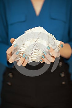 Beautiful woman hands with perfect nail polish holding giant clam, white shell on blue