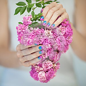 Beautiful woman hands with perfect violet pink and turquoise nail polish holding pink roses