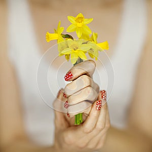 Beautiful woman hands with red nail polish art holding yellow flowers, jonquil