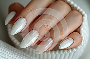 Beautiful woman hands with white manicure on isolated background, closeup of beautiful fingers and nail art