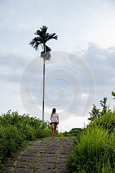 Beautiful woman hiking on famous tiles path surrounded by rice fields and a palm in Bali & x28;Indonesia