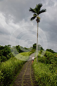 Beautiful woman hiking on famous tiles path surrounded by rice fields and a palm in Bali & x28;Indonesia