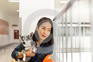 Beautiful woman holding Chihuahua dog at vet hospital.