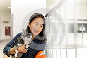 Beautiful woman holding Chihuahua dog at vet hospital.