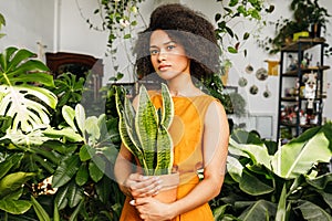 Beautiful woman holding a pot with sansevieria