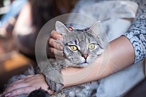 Beautiful woman at home holding and hug her lovely fluffy cat. Pets, friendship, trust, love, lifestyle concept. Friend of human.