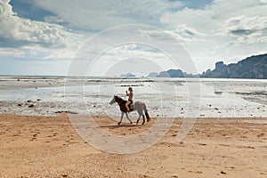 Beautiful woman on a horse. Horseback rider. Paradise tropical beach.