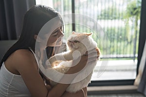 Beautiful woman hug exotic shorthair cat