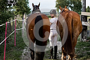 Beautiful woman leads horses from training session on summer evening.Photo from the back. Athlete turns around and smiles. Sports