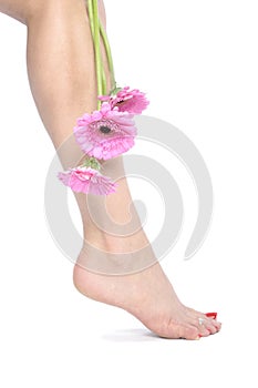 Beautiful woman legs and feet with flowers