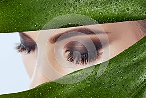 Beautiful Woman with long lashes on the background of a leaf of monstera with water droplets.Eyelash extension procedure.