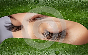 Beautiful Woman with long lashes on the background of a leaf of monstera with water droplets.. Eyelash extension procedure