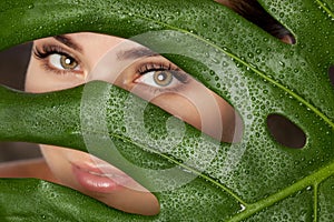 Beautiful Woman with long lashes on the background of a leaf of monstera with water droplets. Eyelash extension procedure,