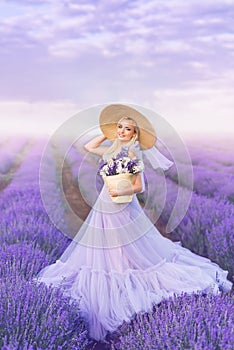 Beautiful woman in a long purple dress and a large hat in lavender. A girl with a basket of flowers in a lavender field