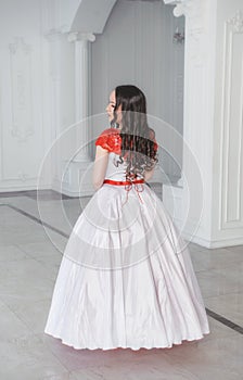 Beautiful woman in medieval dress with crinoline in the hall. Ba