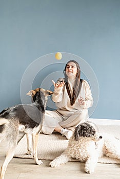 Beautiful woman with mixed breed dog playing ball at home