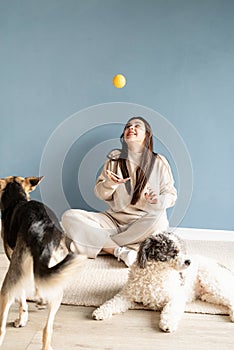 Beautiful woman with mixed breed dog playing ball at home