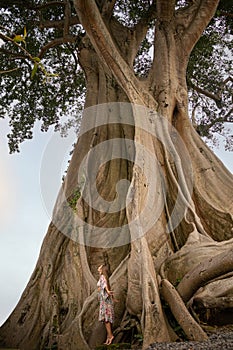 Beautiful woman next to giant ancient Cotton tree