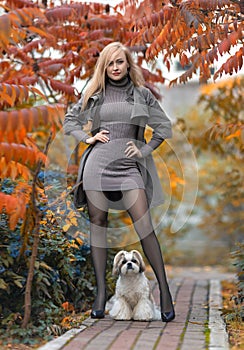 Beautiful woman with perfect legs walking in the autumn park with a cute Shih-Tzu dog