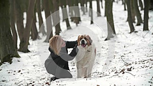 A beautiful woman pets and hugs her big saint Bernard dog