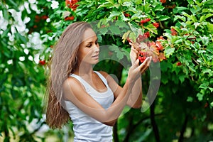 Beautiful woman picking guelder rose berries photo