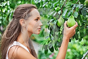 Beautiful woman picking the pear