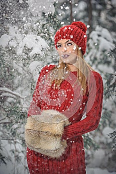 Beautiful woman in red with brown fur cape enjoying the winter scenery in forest. Blonde girl posing under snow-covered trees