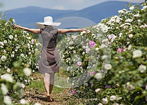 Beautiful woman in retro style polka dot dress and hat walking through roses field. Bulgaria