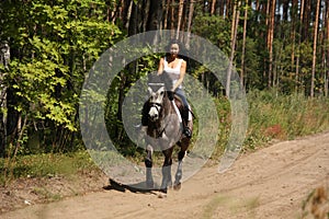 Beautiful woman riding gray horse in the forest