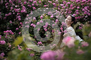 Beautiful woman in rose garden