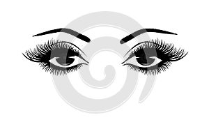 Beautiful woman`s eyes close-up, thick long eyelashes, black and white vector illustration
