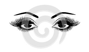 Beautiful woman`s eyes close-up, thick long eyelashes, black and white vector illustration photo