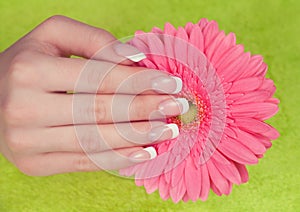 Beautiful woman's hand and nails with french manicure