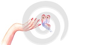 Beautiful woman`s hand with red manicure nails with colorful butterfly isolated on white background