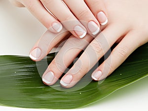 Beautiful woman& x27;s hands on light background. Care about hand. Tender palm with natural manicure, clean