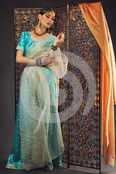 Beautiful woman in sari