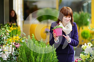 Beautiful woman selecting flowers at flower market