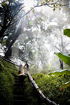 Beautiful woman on stairs on a foggy and wet rainforest path in Chiang Mai & x28;Thailand