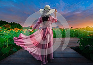 Beautiful woman stands with her back turned on a blurred background with a field of sunflowers at Lopburi,Thailand