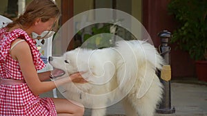 A beautiful woman is stroking large white fluffy dog. Girl tourist in a red dress and hat in the old town stroking a