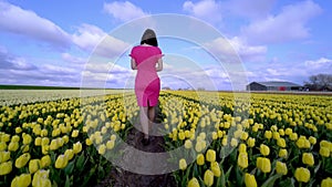 Beautiful Woman in summer dress standing in colorful tulip flower fields in Amsterdam region, Holland, Netherlands