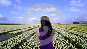 Beautiful Woman in summer dress standing in colorful tulip flower fields in Amsterdam region, Holland, Netherlands